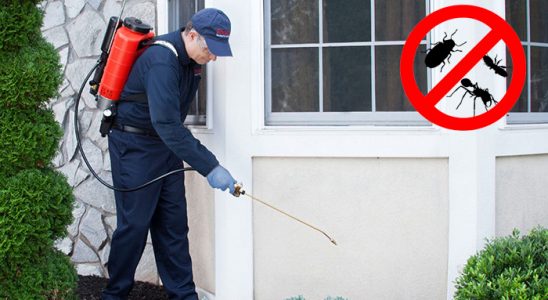 Pınarbaşı Dezenfeksiyon böcek ilaçlama ve haşere kontrolü — ilaclama-tr.com